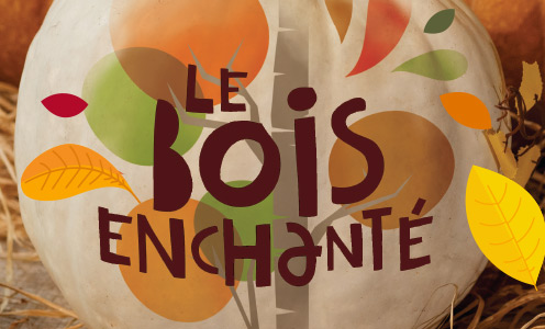 animations bois enchante latelier